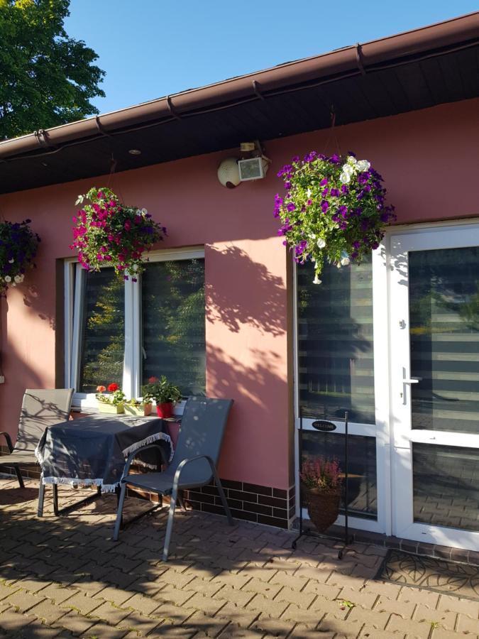 Apartament Lavender Jelenia Góra Εξωτερικό φωτογραφία